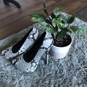 Steve Madden Delerius snake skin heels Size 6